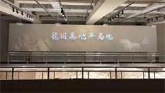 來(lái)虢國(guó)博物館，Sonnoc工程投影機(jī)帶您近距離體驗(yàn)“周風(fēng)虢韻”！