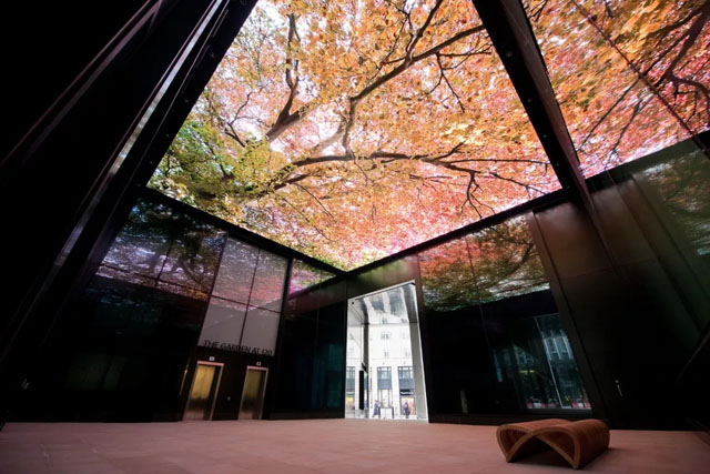 ؘ(bio)־ԽFen Court(ni)LEDĻ