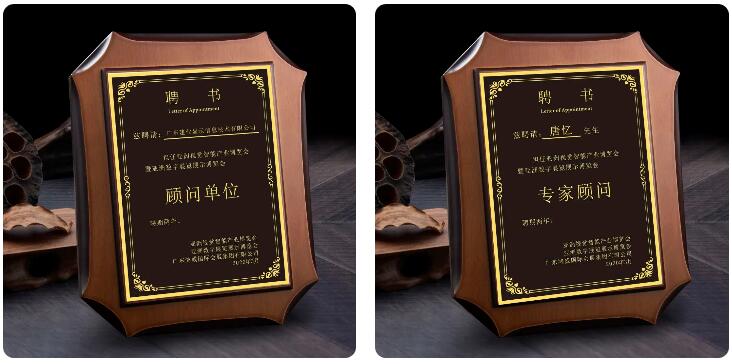 廣東建業(yè)顯示信息技術有限公司榮膺“亞洲數(shù)字展覽展示博覽會顧問單位”稱號