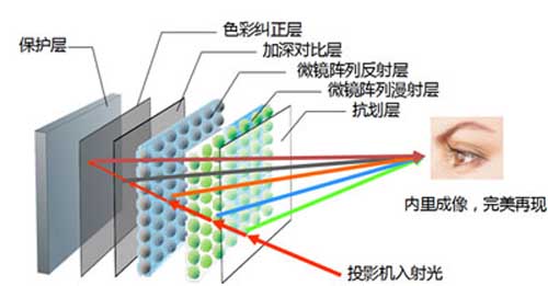 Nova Vista(qing)ͶW(xu)Ļ