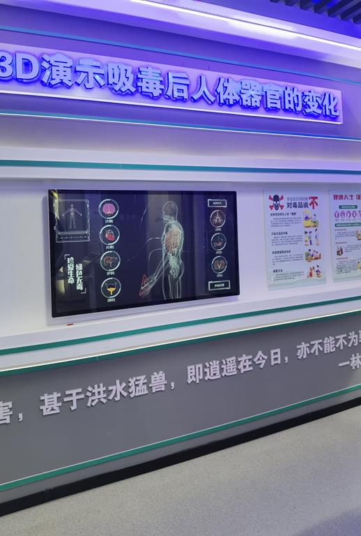 中小學(xué)法治實踐教育基地-校園法治實踐教育基地實施方案